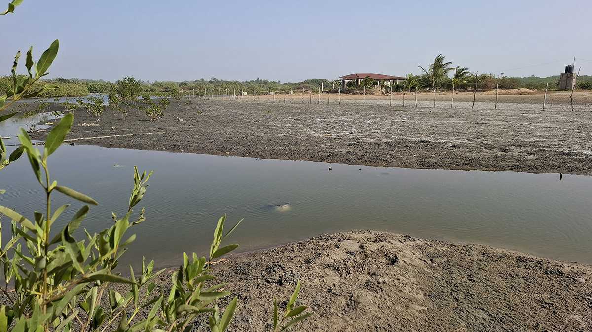 Sanyang Gambia